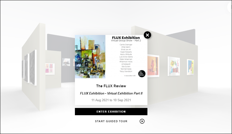 Online exhibition The Flux Review